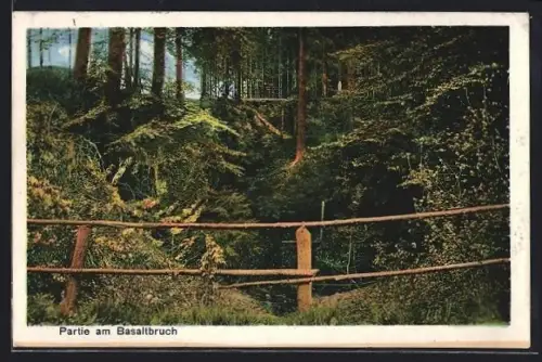 AK Siegen, Partie am Basaltbruch