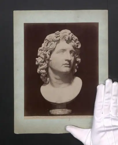 Fotografie Alinari, Ansicht Rom, Testa di Alessandro Magno, Museo Capitolino