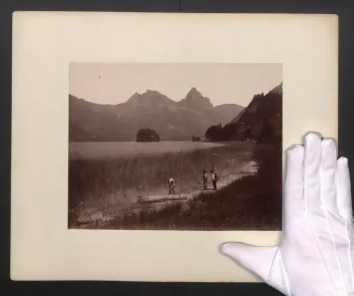 Fotografie unbekannter Fotograf, Ansicht Schwanau, Blick nach der Insel am Lowerzer See