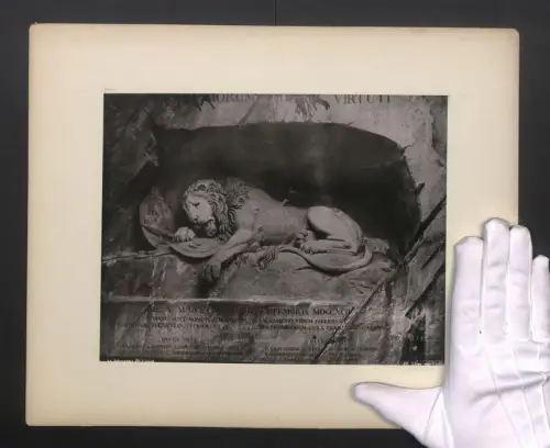 Fotografie unbekannter Fotograf, Ansicht Luzern, der Luzerner Löwe, Löwe von Luzern