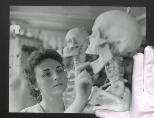 Fotografie Helmut Raddatz, Berlin-Weissensee, Biologiemodellmacherin begutachtet anatomische Skelette, Medizin, 28 x 22cm