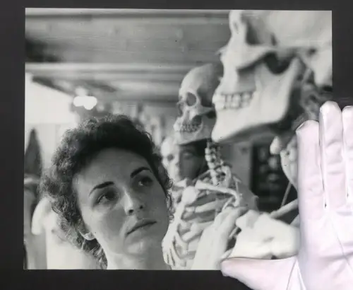 Fotografie Helmut Raddatz, Berlin-Weissensee, Medizin, anatomische Skelette, Biologiemodellmacherin prüft ihre Arbeit