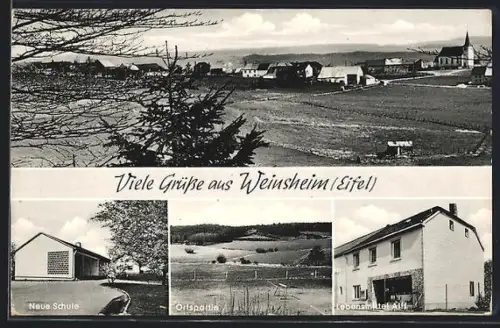 AK Weinsheim /Eifel, Neue Schule, Ortsansicht, Lebensmittelgeschäft