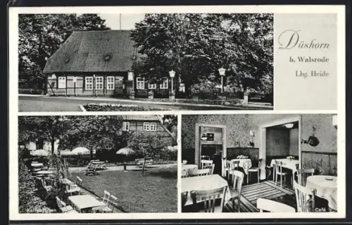 AK Düshorn b. Walsrode, Café Niedlich mit Garten