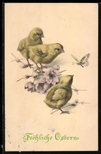 AK Drei Osterküken mit blühendem Zweig und Schmetterling, Ostergruss
