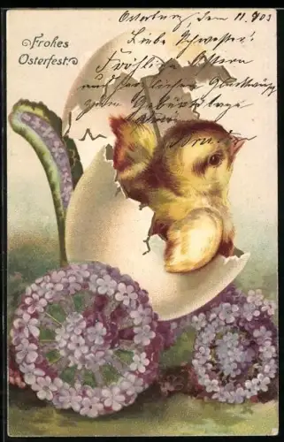 AK Osterküken in einem Kinderwagen aus Eierschalen & Vergissmeinnicht