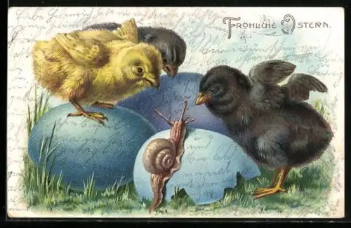 AK Osterküken begutachten eine Schnecke