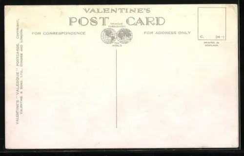 AK Forth Bridge, Panoramic View