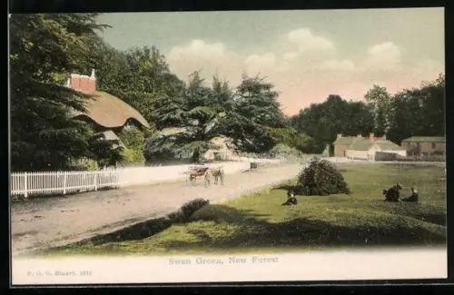 AK New Forest, Swan Green