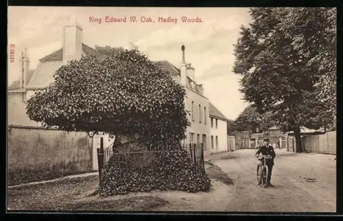 AK Hadley Woods, King Edward IV. Oak