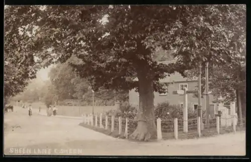 AK E. Sheen, Sheen lane