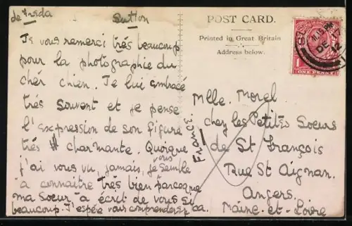 AK Sutton, Angel Bridge