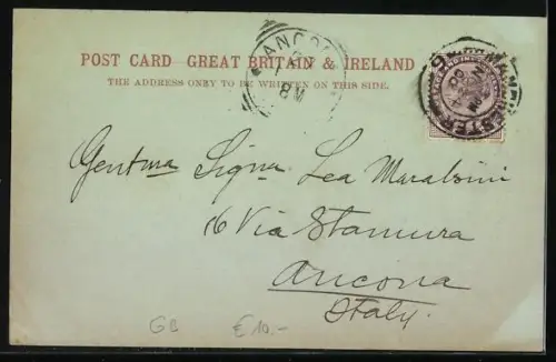 AK Manchester, Albert Square