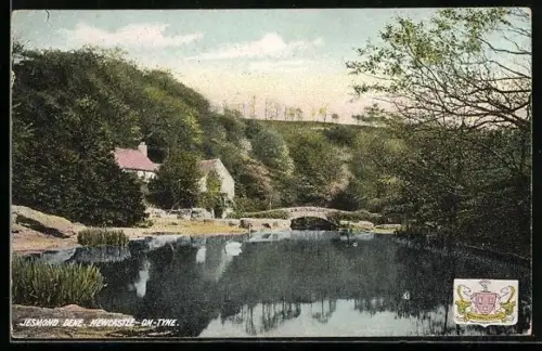 AK Newcastle-on-Tyne, Jesmond Dene