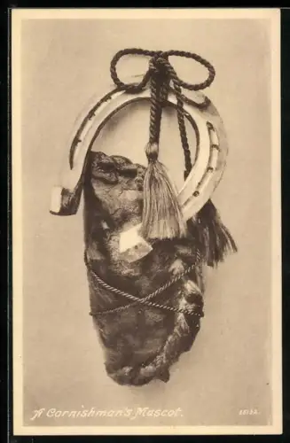 AK A Cornishman`s Mascot