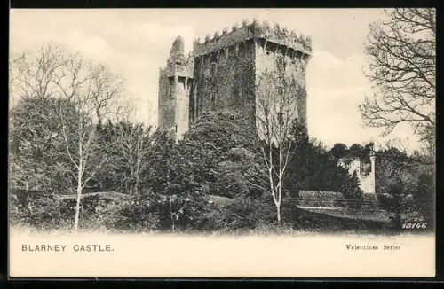 AK Blarney, Castle with surroundings