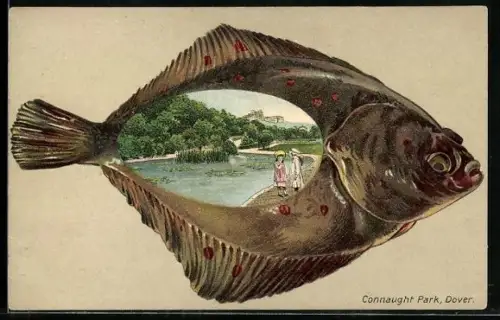 Passepartout-Lithographie Dover, View of Connaught Park, Motiv in einem Fischbauch