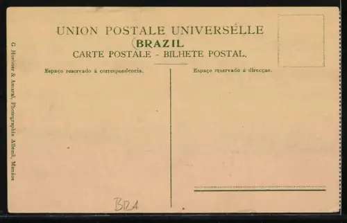 AK Manáos, Avenido Ed. Ribeiro