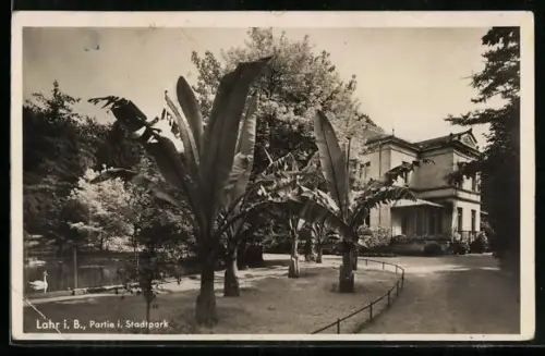 AK Lahr i. B., Partie im Stadtpark