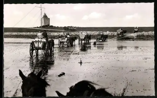 AK Hamburg-Insel Neuwerk, Wattwagenfahrt, Leuchtturm