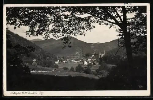 AK Wilgartswiesen /Pf., Blick auf den Ort und umliegende Berge