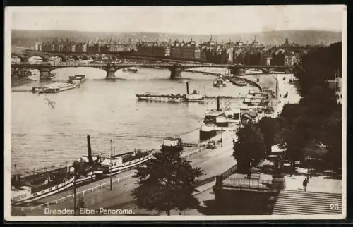 AK Dresden, Elbe-Panorama Brühlsche Terrasse