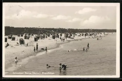 AK Prerow /Darss, Strandleben