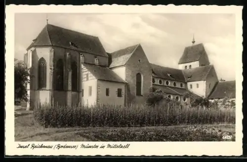 AK Insel Reichenau /Bodensee, Münster im Mittelteil