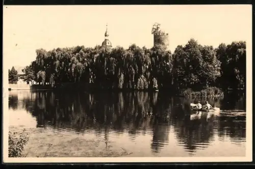 AK Triptis /Thür., Stadtteich