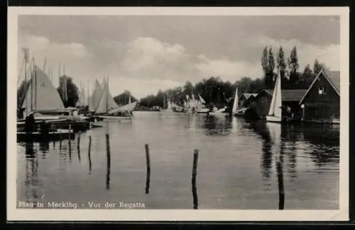 AK Plau in Mecklbg., Vor der Regatta