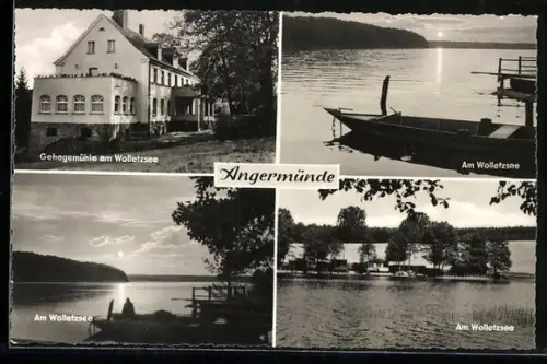 AK Angermünde, Gehegemühle am Wolletzsee, Uferpartie, Bootssteg