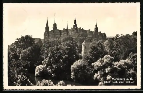 AK Merseburg a. S., Blick nach dem Schloss