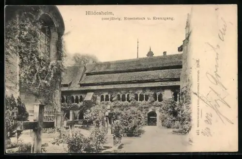 AK Hildesheim, 1000 jähriger Rosenstock und Kreuzgang