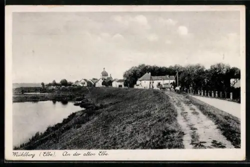 AK Mühlberg /Elbe, An der alten Elbe