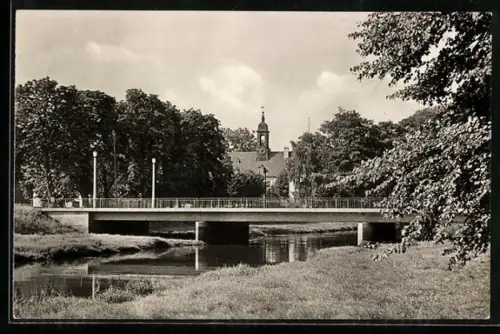 AK Elsterwerda, Partie an der Elster, Im Hintergrund das Schloss