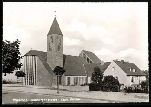 AK Walsrode /Lüneburger Heide, Blick zur Kath. Kirche
