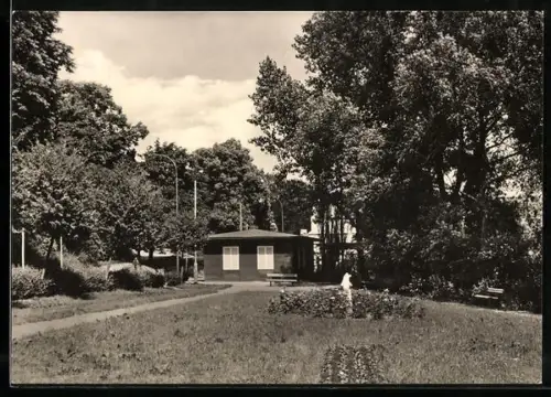 AK Sternberg /Meckl., In der Parkanlage