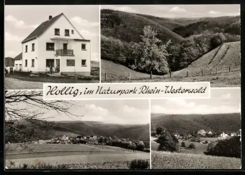 AK Hollig /Westerwald, Ferienwohnung im Naturpark Rhein-Westerwald, Inh. Agnes Pluschke, Mühlenstrasse 11