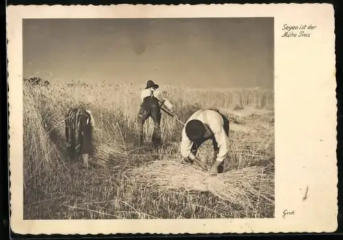 AK Bauern bei der Getreideernte