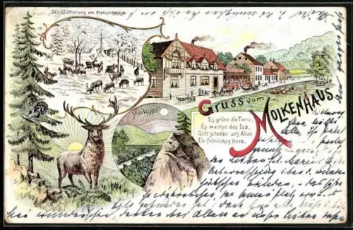 Lithographie Bad Harzburg, Gasthaus Molkenhaus, Muxklippe, Hirsch