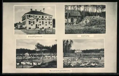 AK Erlangen / Bayern, Anstaltsgebäude, Erdhütte, Wassergeflügelabteilung der Kreisgeflügelzuchtanstalt