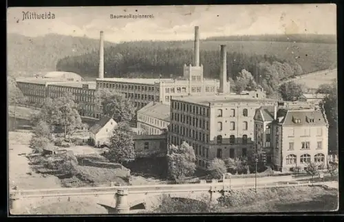 AK Mittweida, Baumwollspinnerei