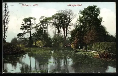 AK Hampstead, Golder`s Hill