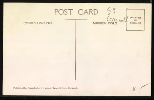 AK St. Ives, Seagulls