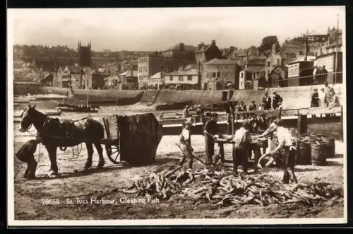 AK St. Ives, Harbour, Cleaning Fish