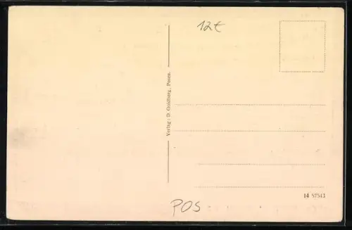 AK Posen, Raczynskische Bibliothek