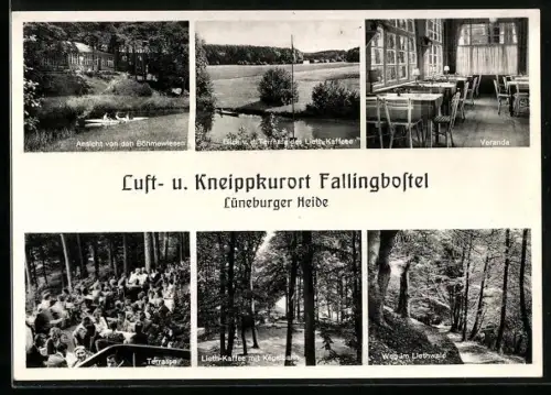 AK Fallingbostel, Lieth-Kaffee, Böhmewiesen, Liethwald, Terrasse