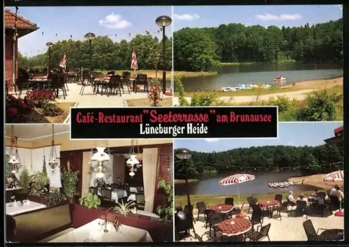 AK Bispingen /Lüneburger Heide, Café-Restaurant Seeterrasse am Brunausee