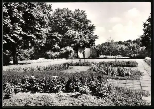 AK Senftenberg /Niederlausitz, Odf-Denkmal, Parkanlage