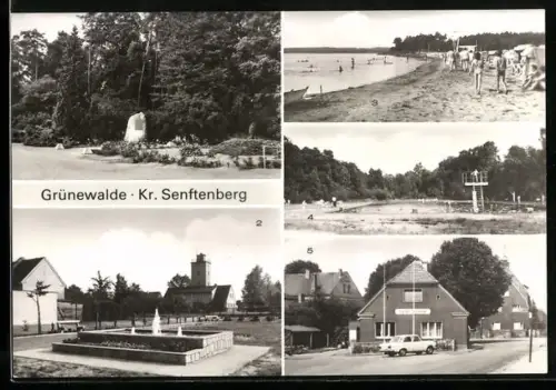 AK Grünewalde /Senftenberg, Park, Naherholungsgebiet Grünewälder Lauch, Schwimmbad